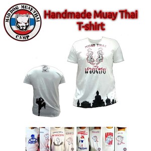 muay-thai-dometiou-1